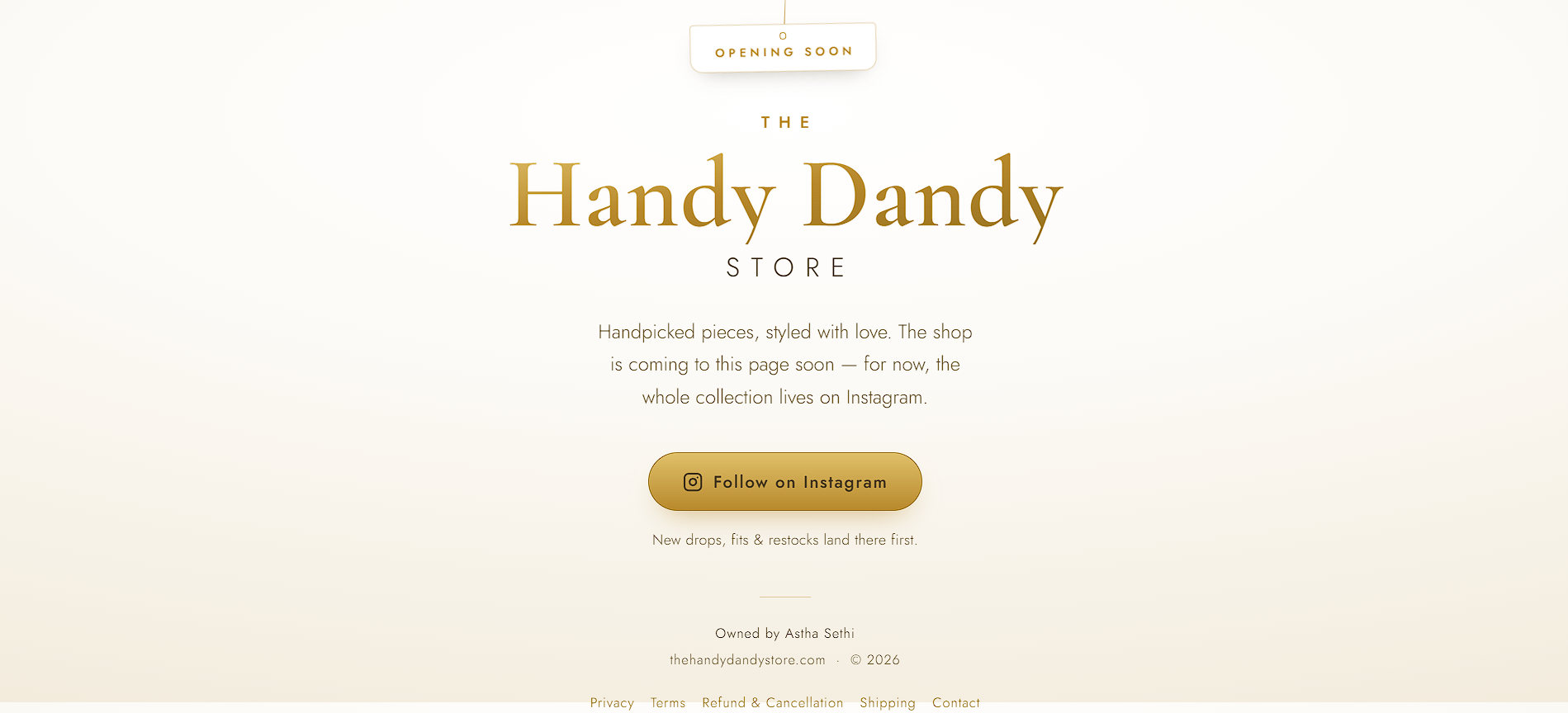 The Handy Dandy Store screenshot